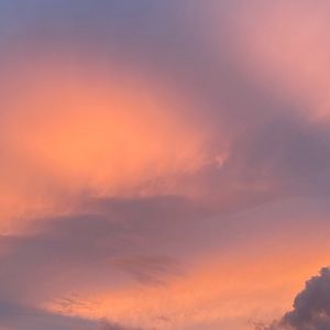 Meet your Posher, Claire